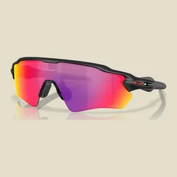 Oakley Sunglasses