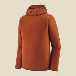 Patagonia Thermal Hoody