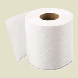 Toilet Paper